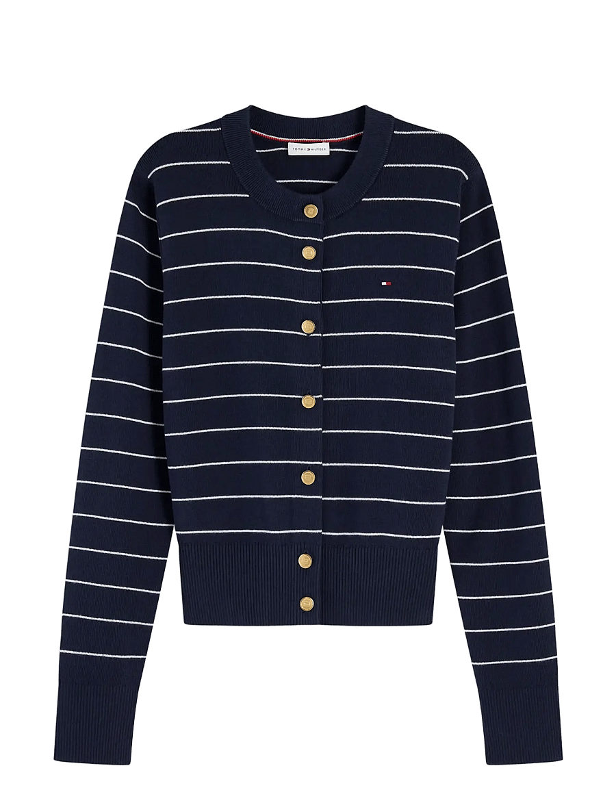 Tommy Hilfiger - FULL NEEDLE STITCH CARDIGAN - strickjacken - fine stp dark night navy ivory - 1
