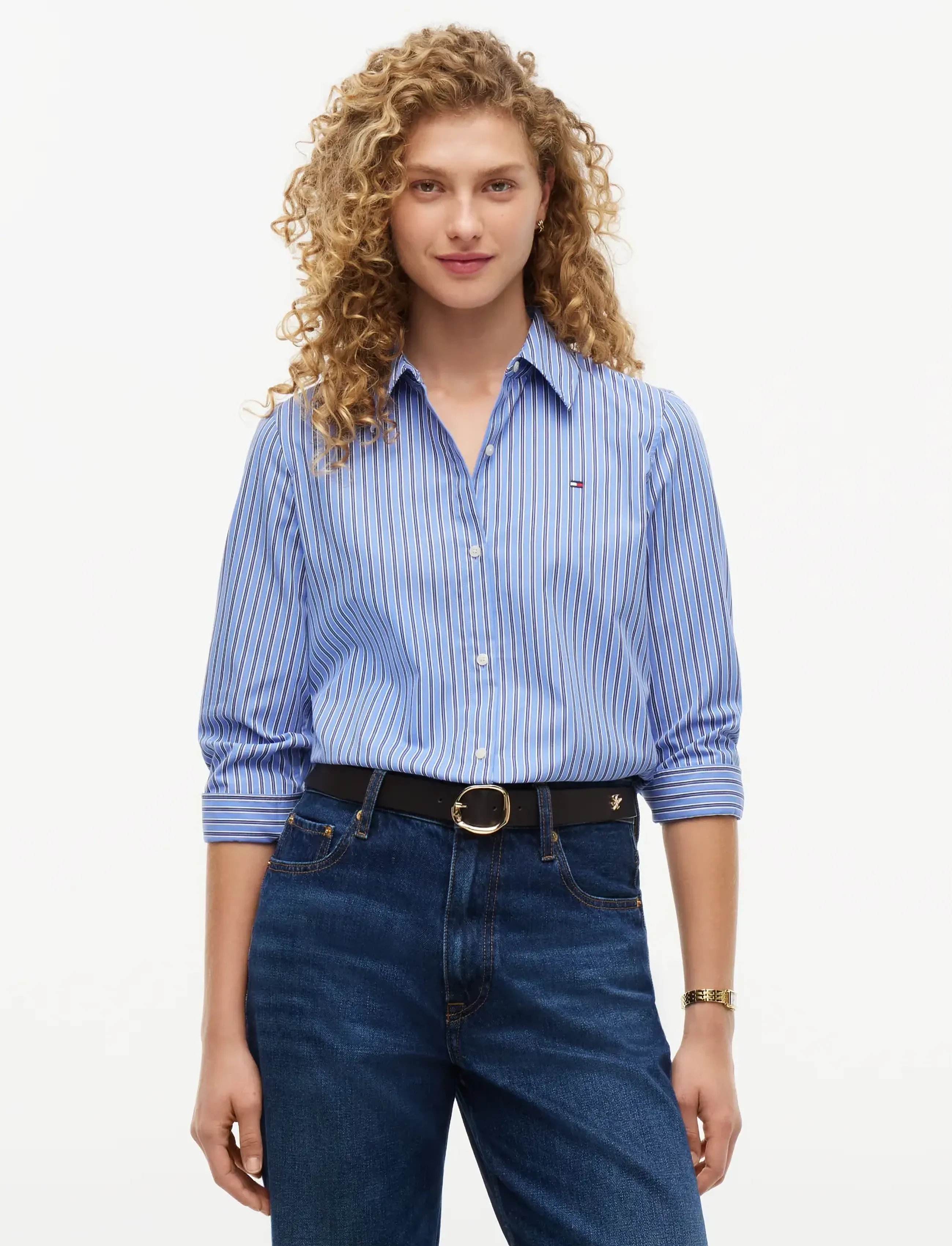 Tommy Hilfiger POPLIN REGULAR SHIRT - Tommy Hilfiger - NEW YORK BLUE STRIPE / blue