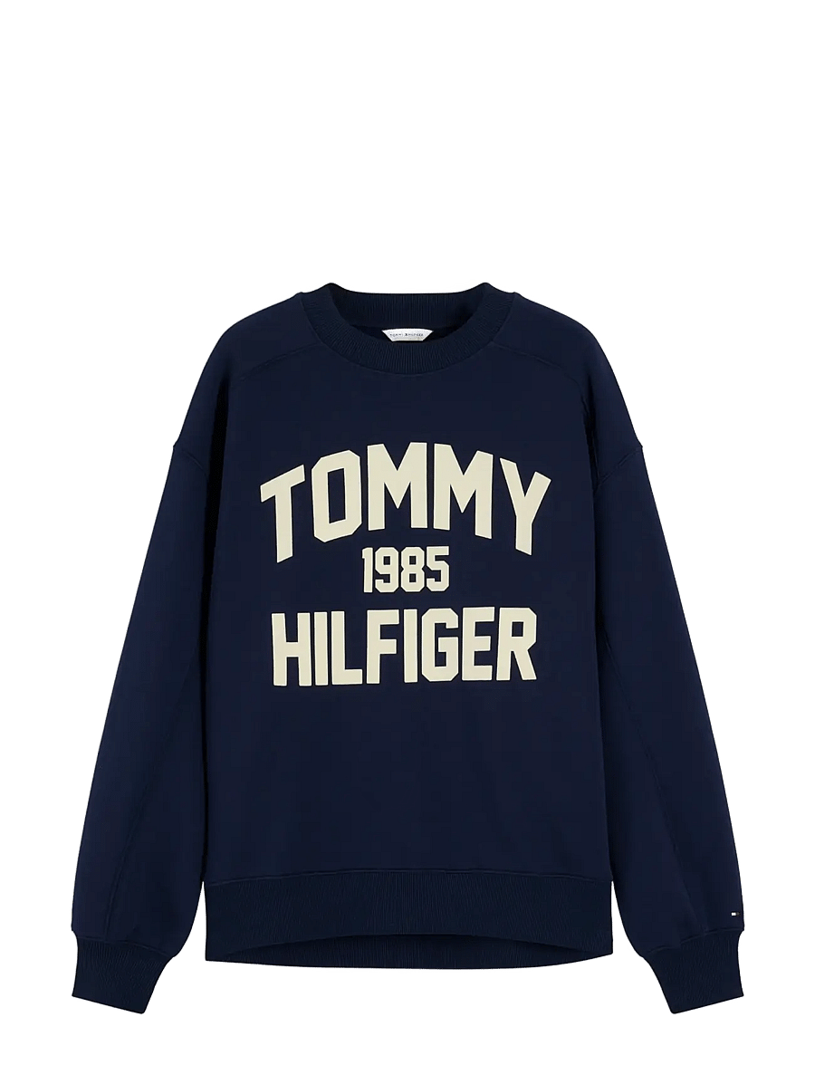 Tommy Hilfiger - VARSITY FLOCK RLXD SWT - igapäevane stiil - dark blue - 1