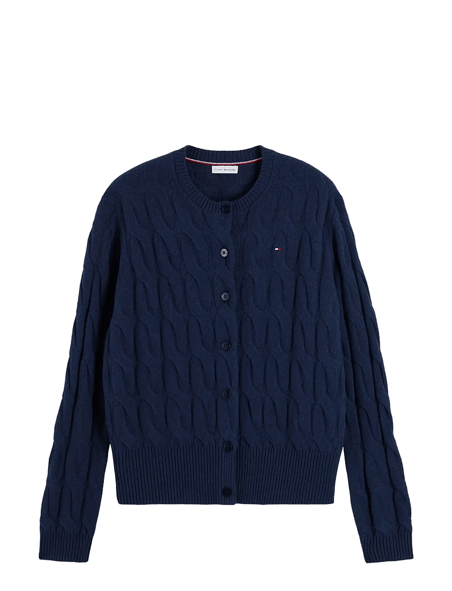 Tommy Hilfiger - SOFT WOOL CARDI - strickjacken - dark blue - 1