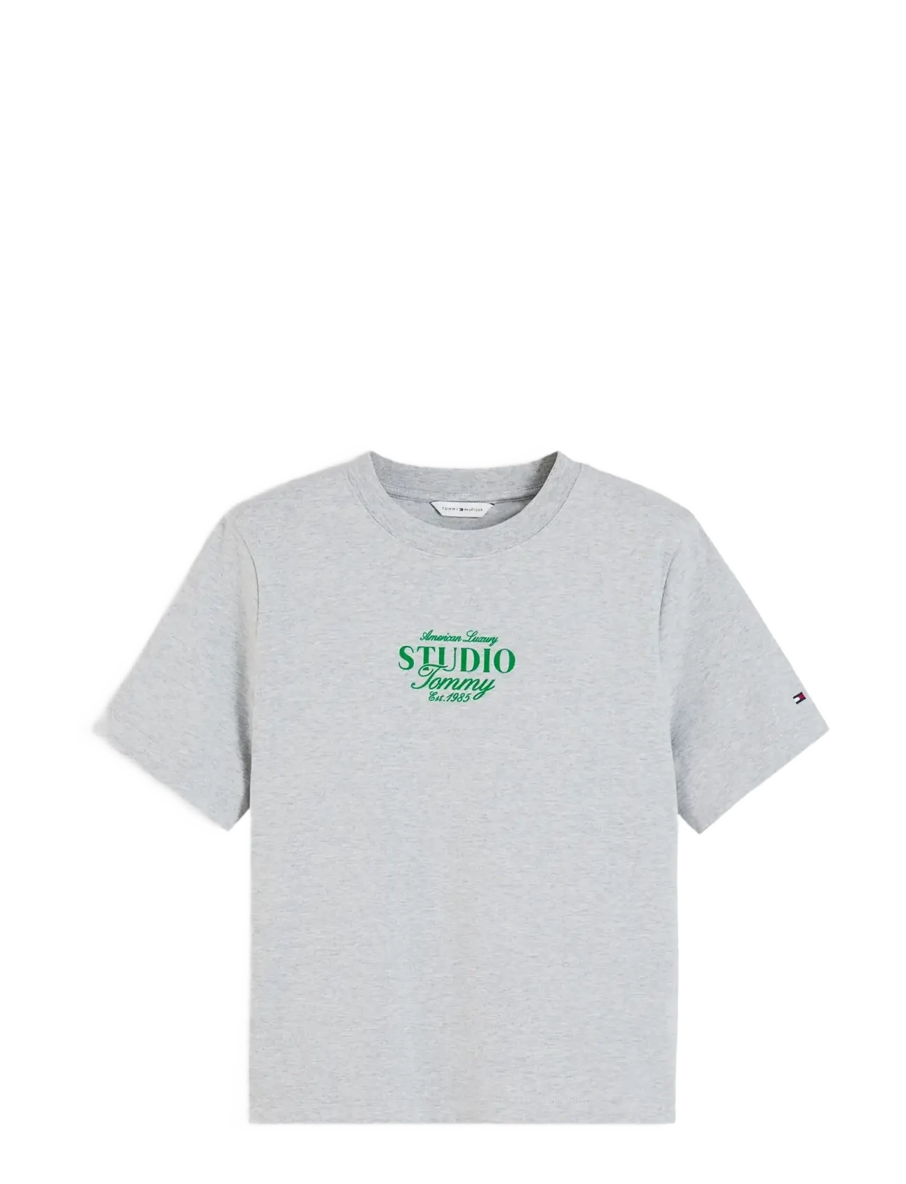 Tommy Hilfiger - STUDIO TOMMY REG C-NK S/S TSHIRT - light grey htr - 1