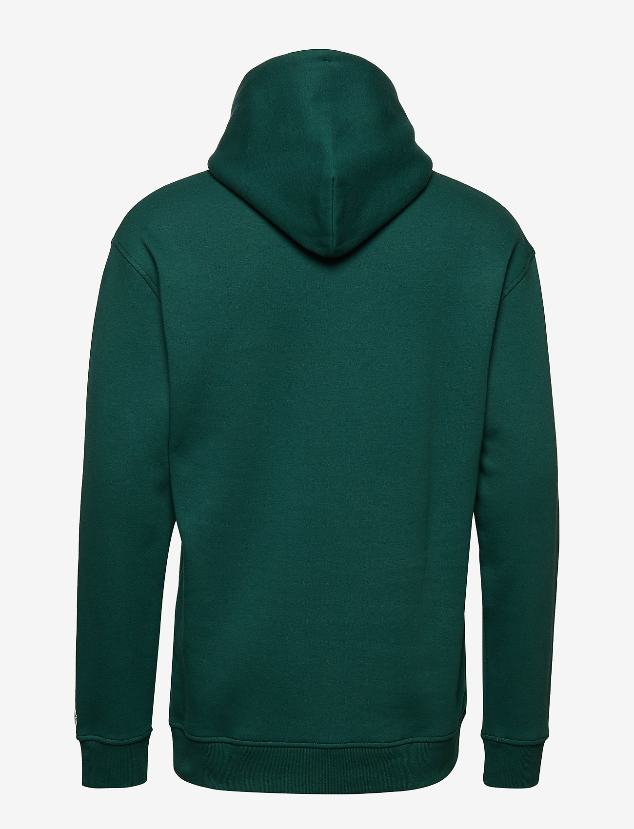 Tommy Jeans - TJM TOMMY CLASSICS HOODIE - hunter green - 1