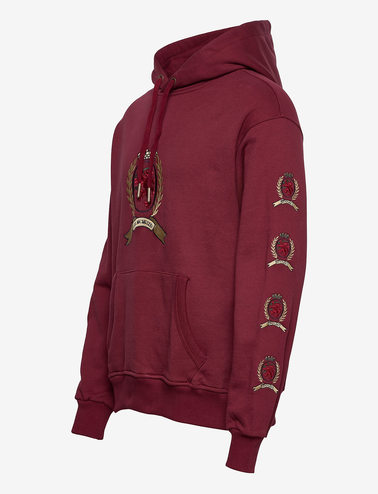 Tommy Jeans - TJM CREST HOODIE M29 - cabernet - 2