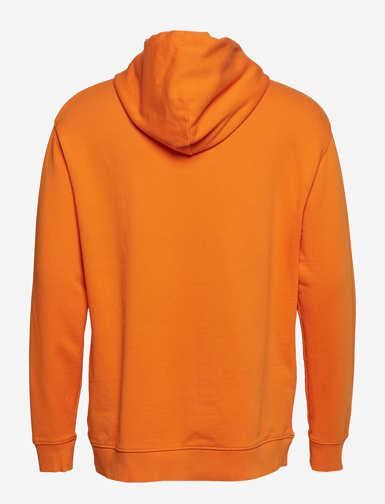 Tommy Jeans - TJM GRAPHIC WASHED H - russet orange - 1