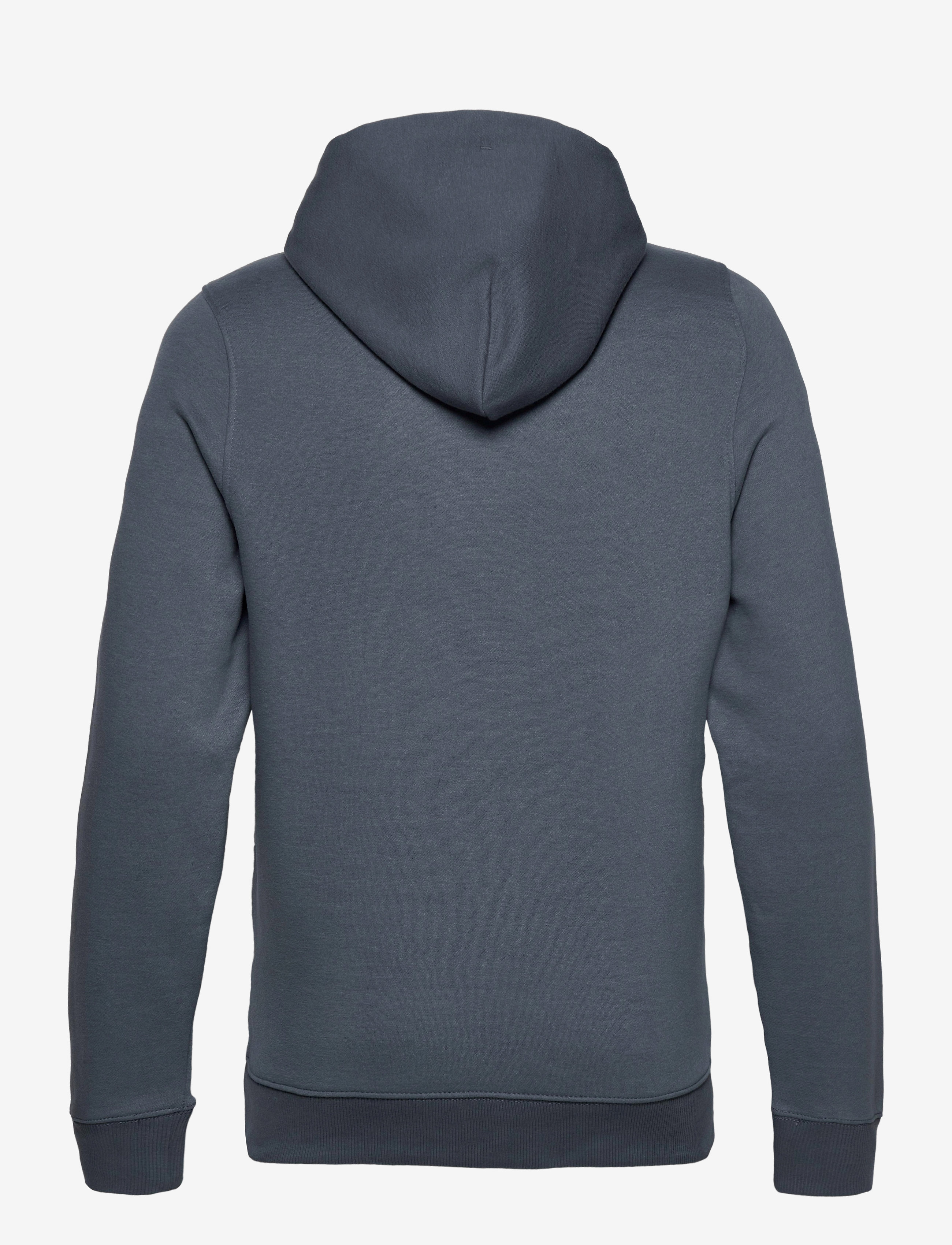 Tommy Jeans - TJM STRAIGHT LOGO HOODIE - faded ink - 1