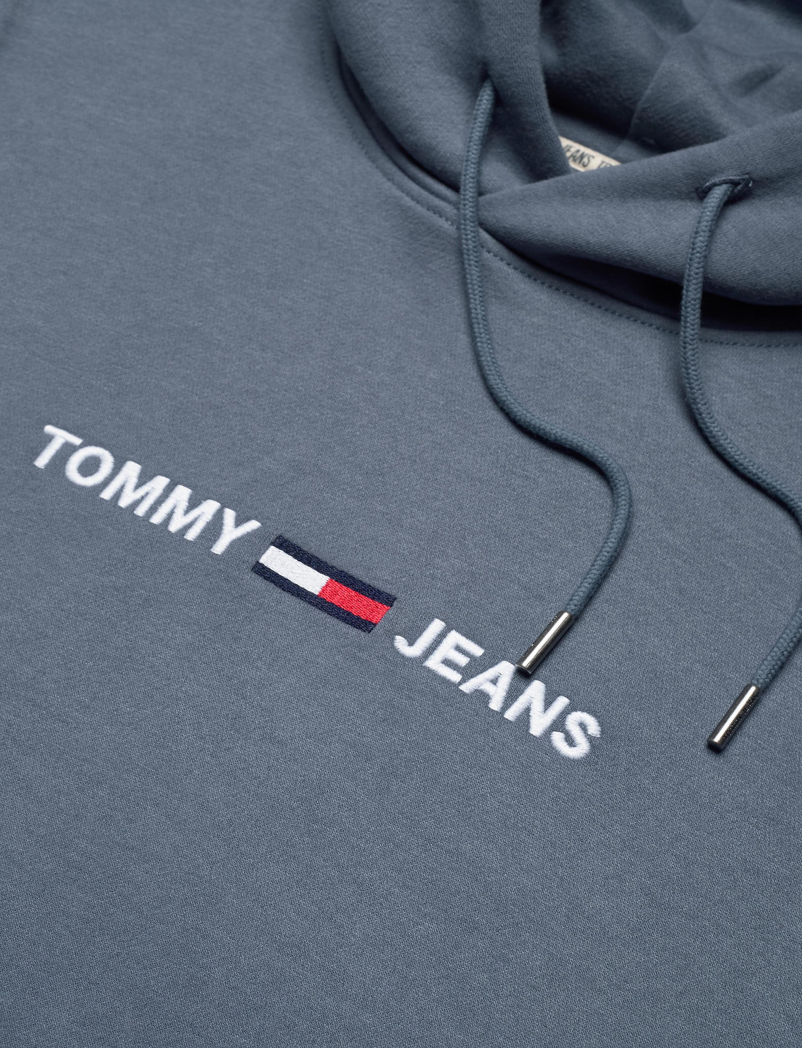 Tommy Jeans - TJM STRAIGHT LOGO HOODIE - faded ink - 2