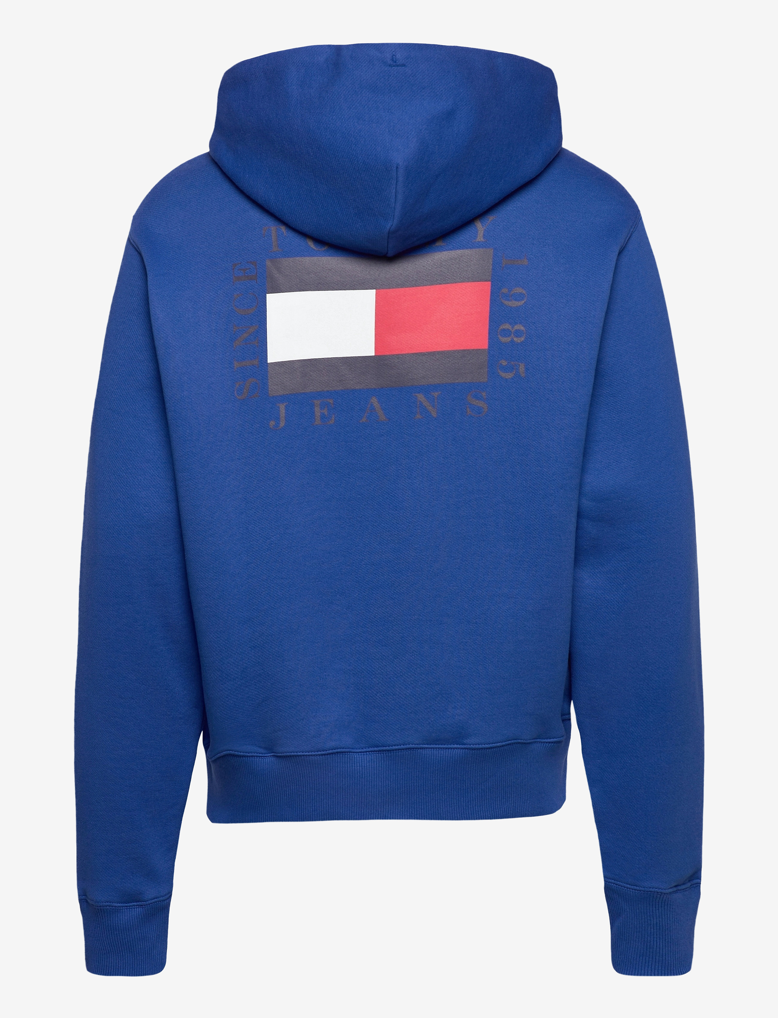 Tommy Jeans - TJM HALF ZIP HOODIE - providence blue - 1