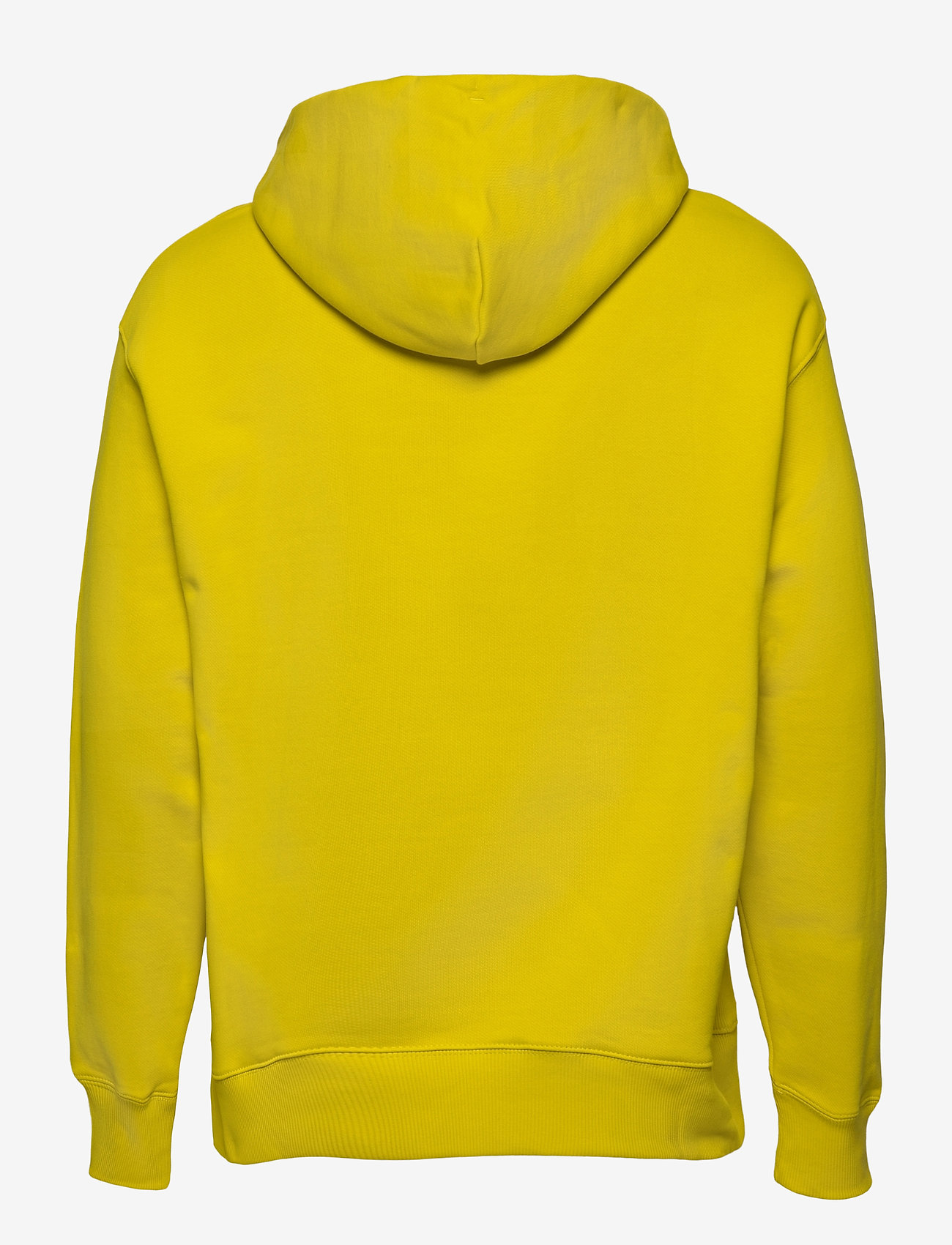 Tommy Jeans - TJM SMALL FLAG HOODIE - valley yellow - 1