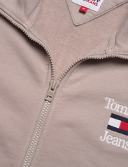 Tommy Jeans - TJU RELAXED TERRY ZIP UP - truien - brandons stone - 2