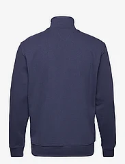 Tommy Jeans - TJM REG SIGNATURE HALF ZIP - sweatshirts - twilight navy - 1