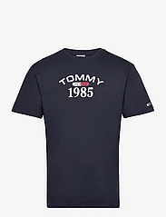 Tommy Jeans - TJM CLSC 1985 RWB CURVED TEE - lowest prices - desert sky - 0