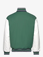 Tommy Jeans - TJM LETTERMAN JACKET EXT - spring jackets - court green / multi - 1