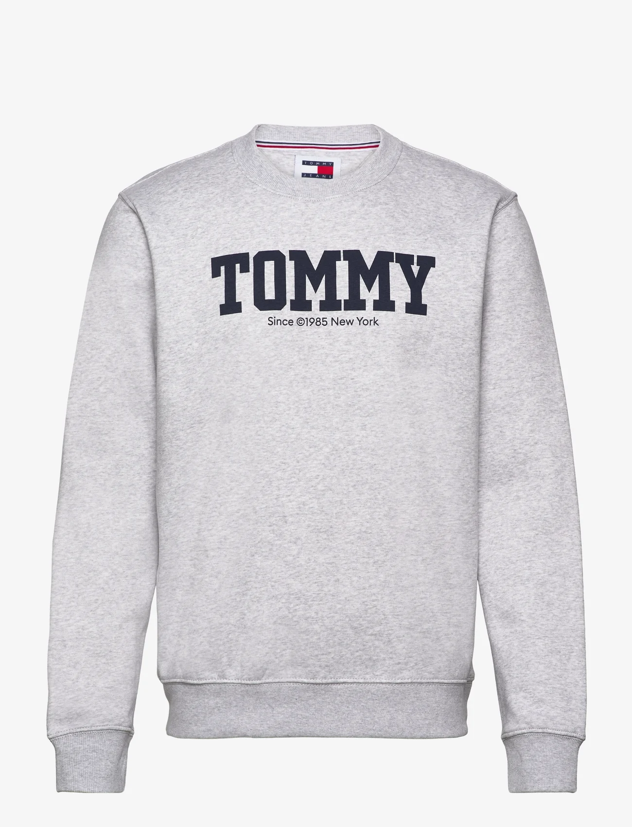 Tommy Jeans - TJM REG TJ DNA FRONT BACK CNECK - sweatshirts - silver grey - 0