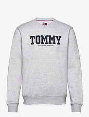 Tommy Jeans - TJM REG TJ DNA FRONT BACK CNECK - sweatshirts - silver grey - 0