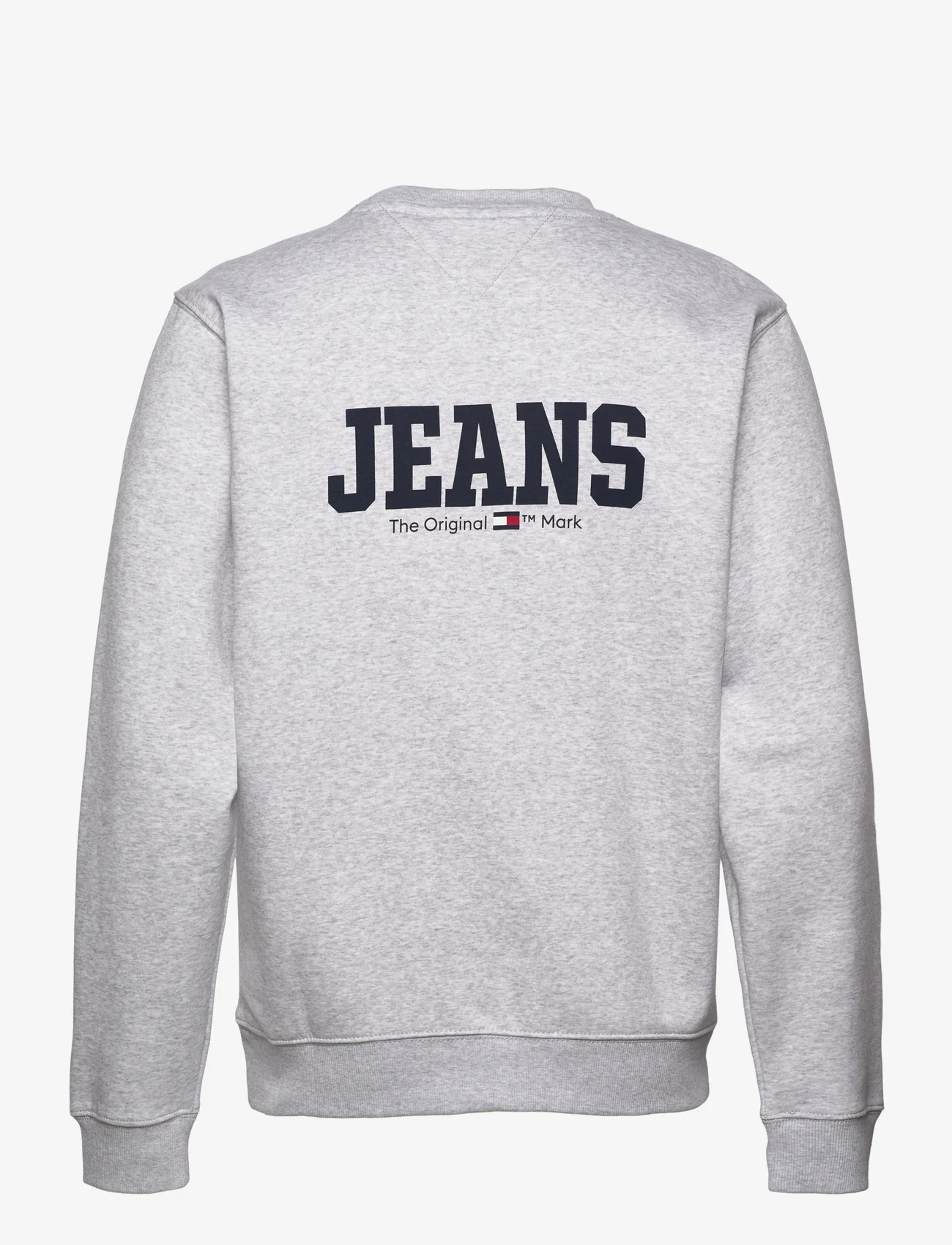 Tommy Jeans - TJM REG TJ DNA FRONT BACK CNECK - sweatshirts - silver grey - 1