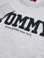 Tommy Jeans - TJM REG TJ DNA FRONT BACK CNECK - sweatshirts - silver grey - 2