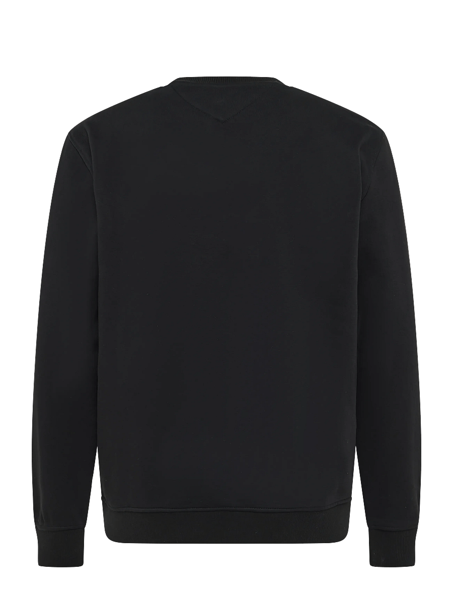 Tommy Jeans - TJM REG LINEAR CREW EXT - sweatshirts - black - 2