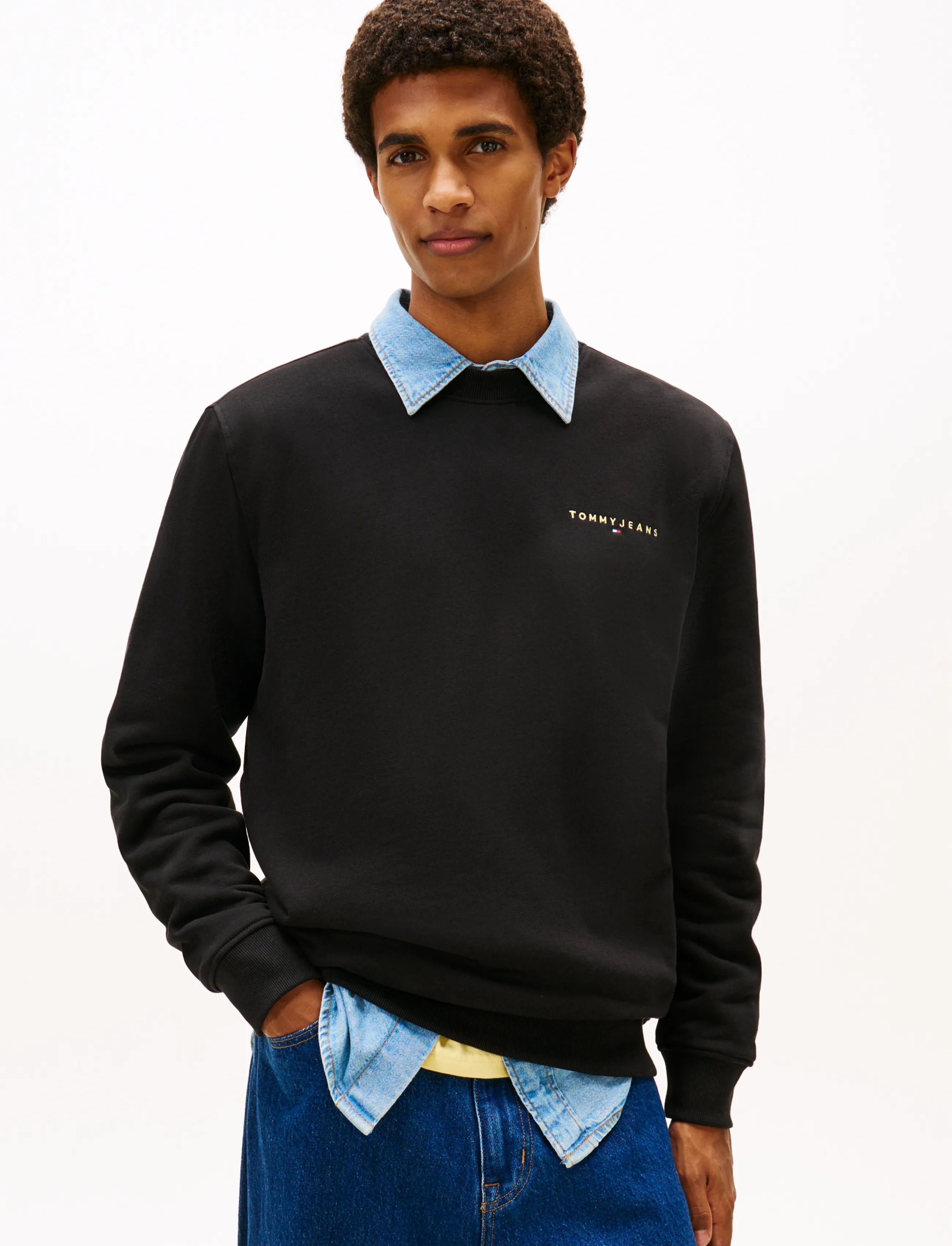 Tommy Jeans TJM REG LINEAR CREW EXT - Sweatshirts - BLACK / black