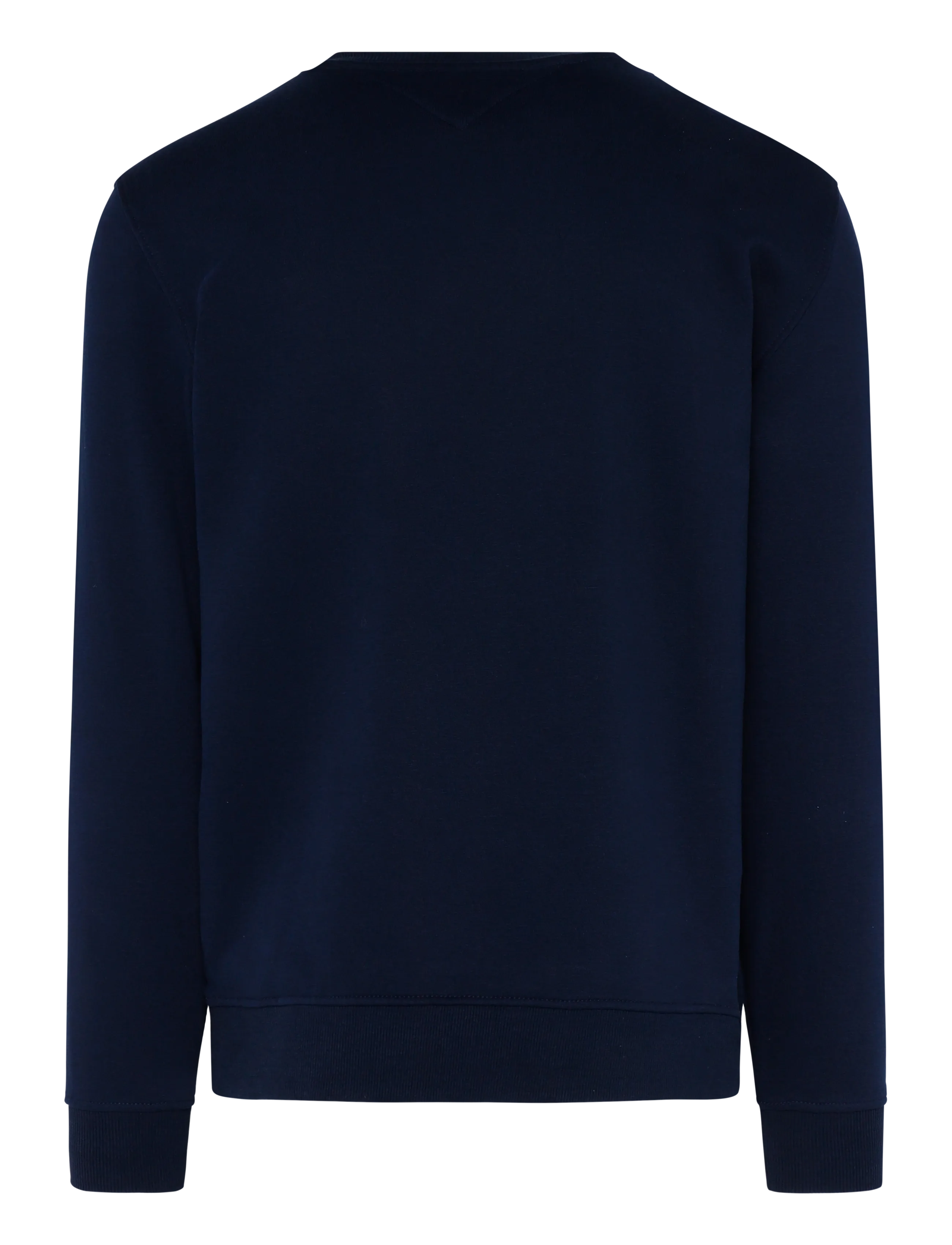 Tommy Jeans - TJM REG LINEAR CREW EXT - dressipluusid - dark blue - 2