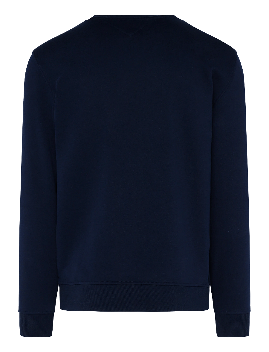 Tommy Jeans - TJM REG LINEAR CREW EXT - dressipluusid - dark blue - 2