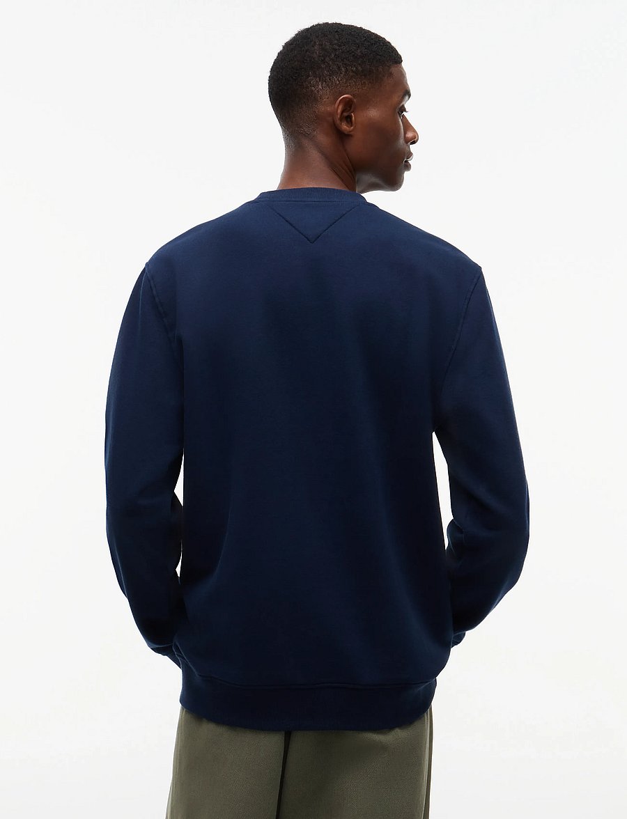 Tommy Jeans - TJM REG LINEAR CREW EXT - round necks - dark blue - 2