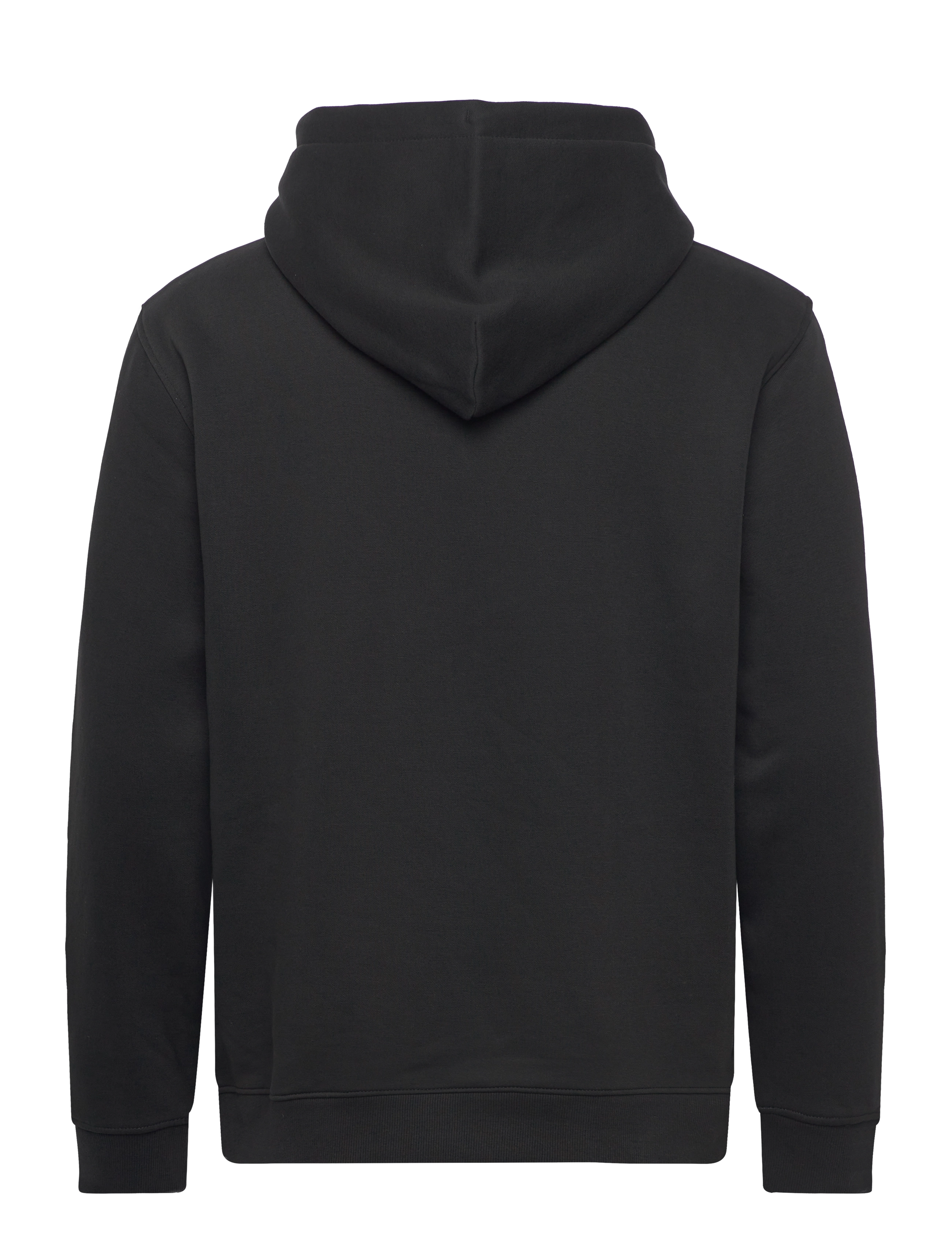 Tommy Jeans - TJM REG LINEAR GOLD HOOD EXT - black - 1