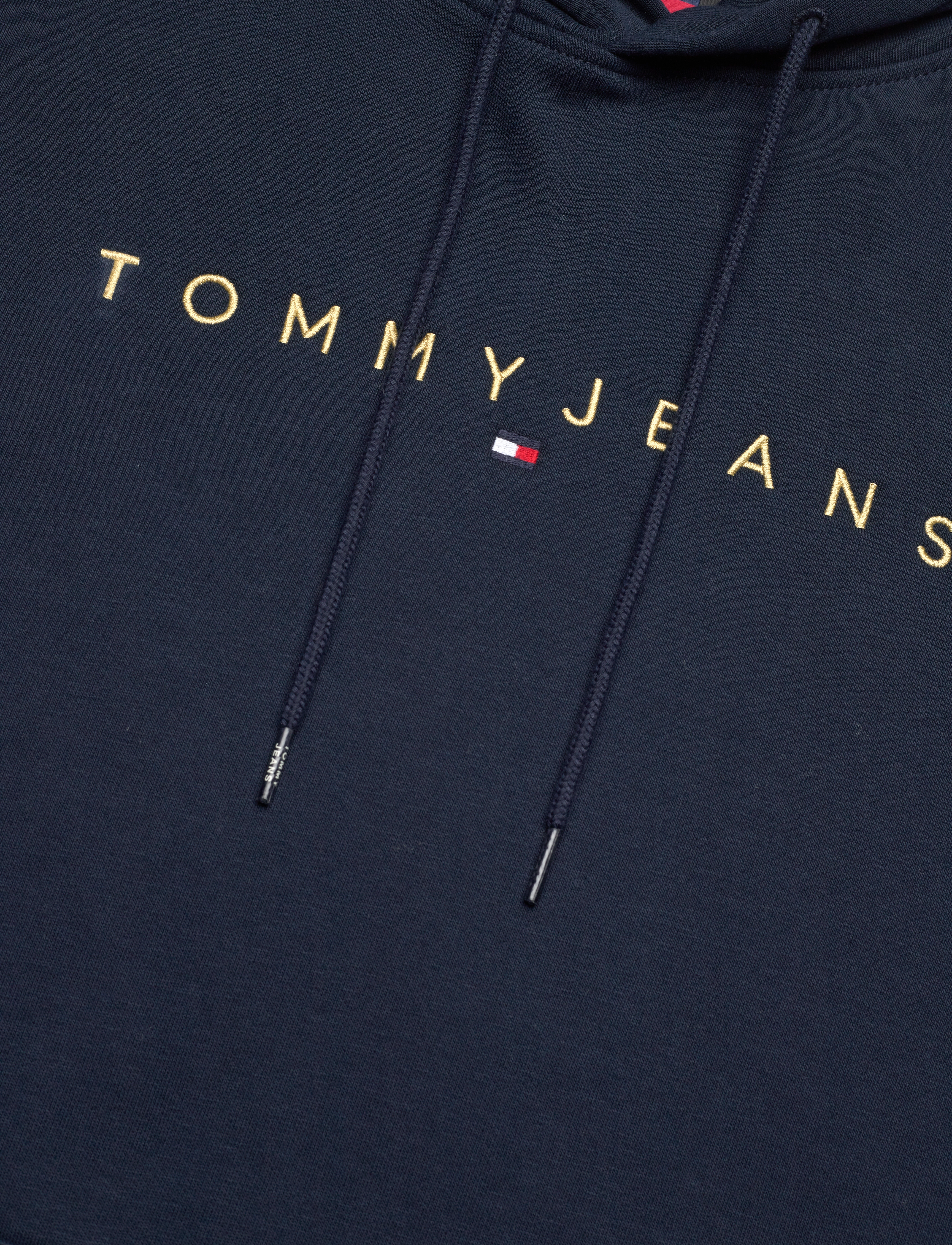 Tommy Jeans - TJM REG LINEAR GOLD HOOD EXT - dark night navy - 2