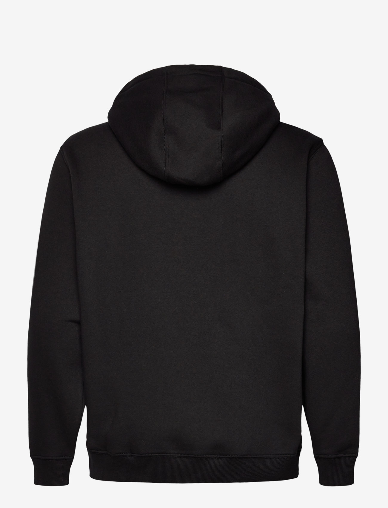 Tommy Jeans - TJM REG S FLAG HOODIE EXT - hoodies - black - 2