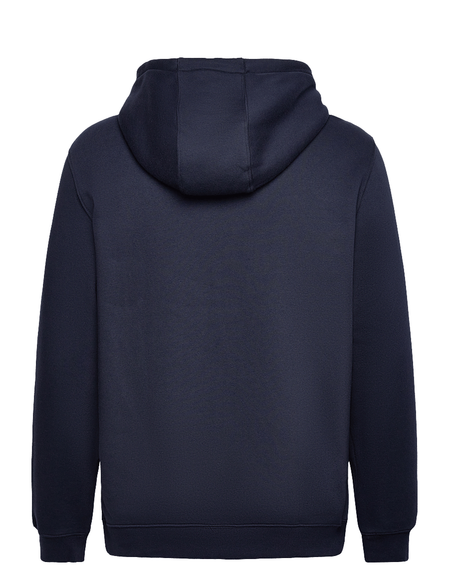 Tommy Jeans - TJM REG S FLAG HOODIE EXT - kapuzenpullover - dark blue - 2