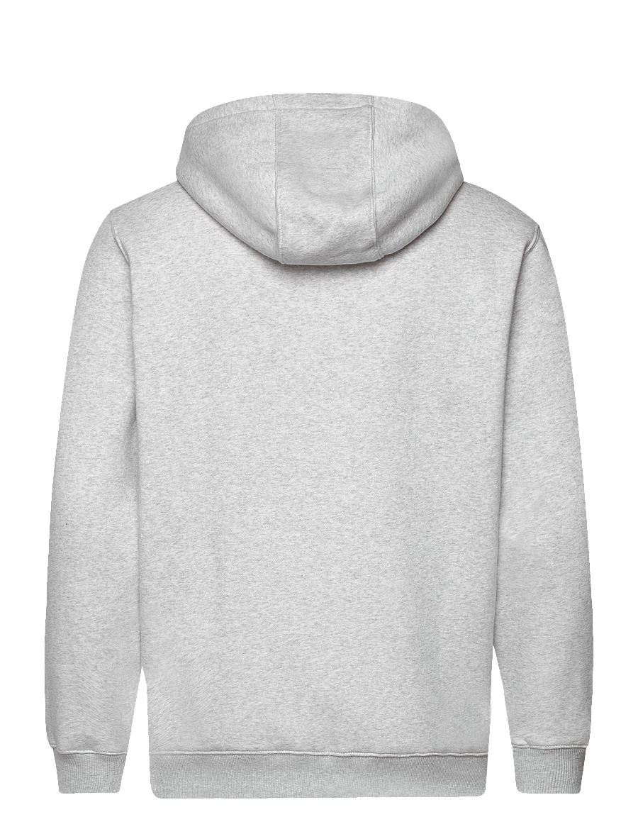 Tommy Jeans - TJM REG S FLAG ZIP THRU - kapuzenpullover - silver grey heather - 2