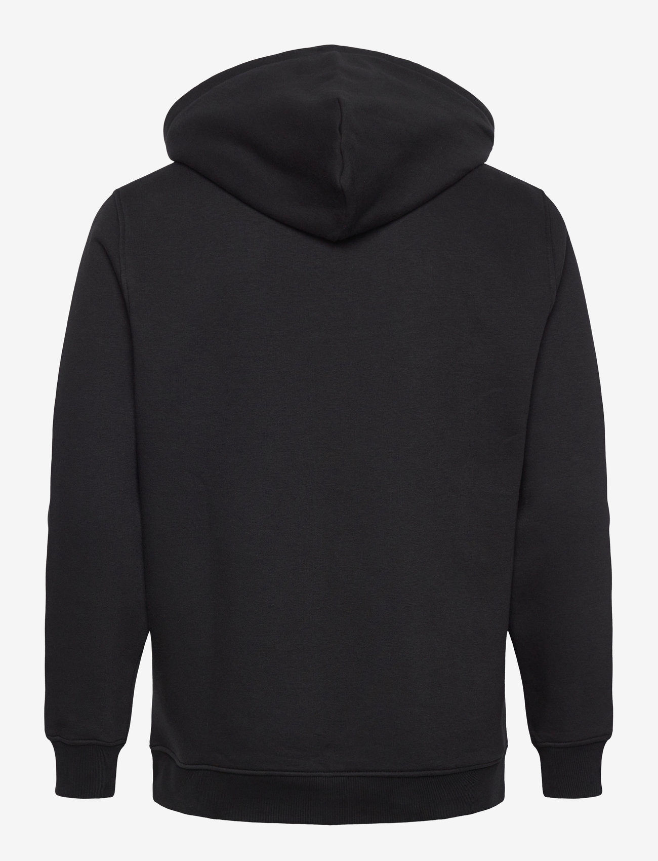 Tommy Jeans - TJM REG LINEAR LOGO HOODIE EXT - hoodies - black - 2