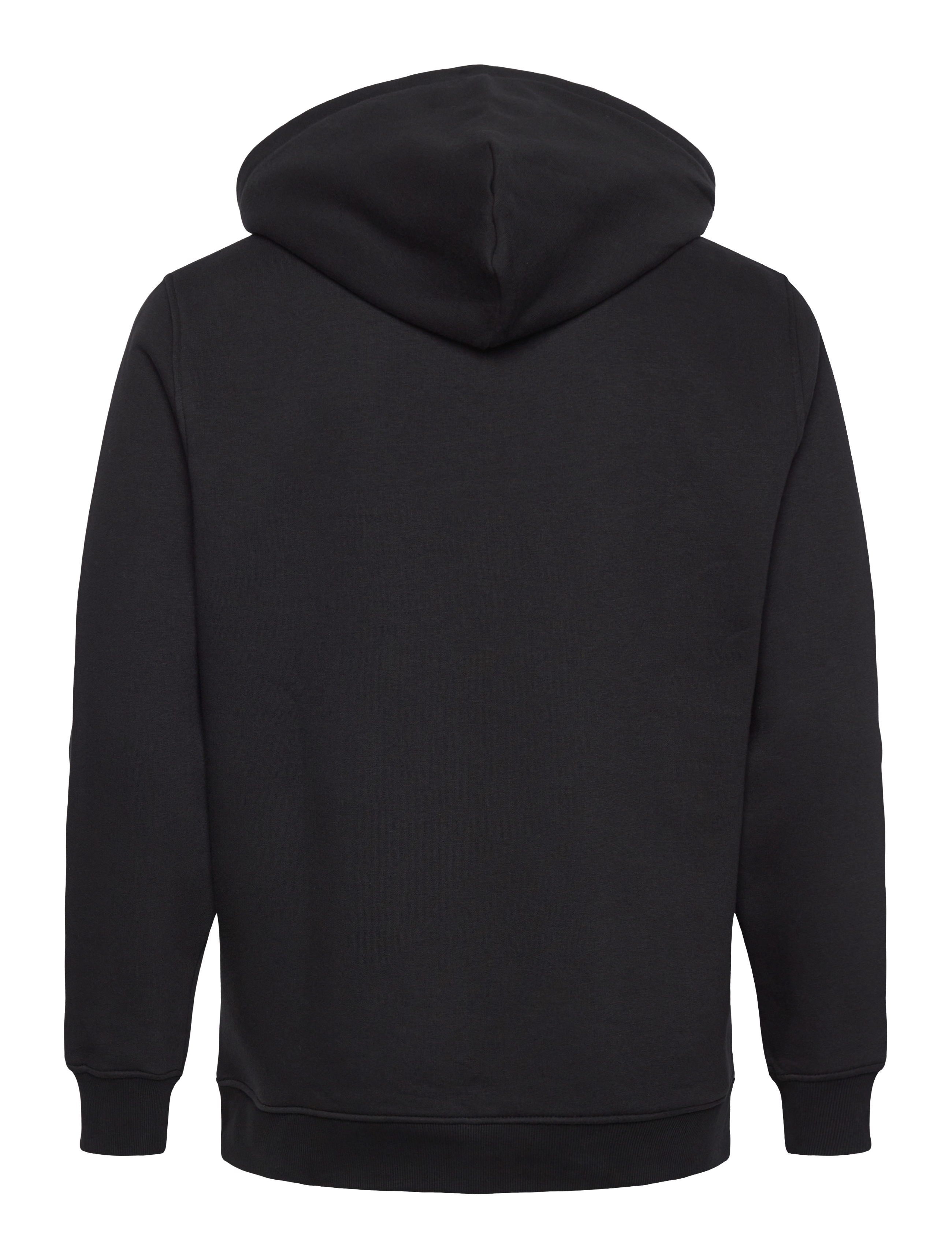 Tommy Jeans - TJM REG LINEAR LOGO HOODIE EXT - kapuzenpullover - black - 2