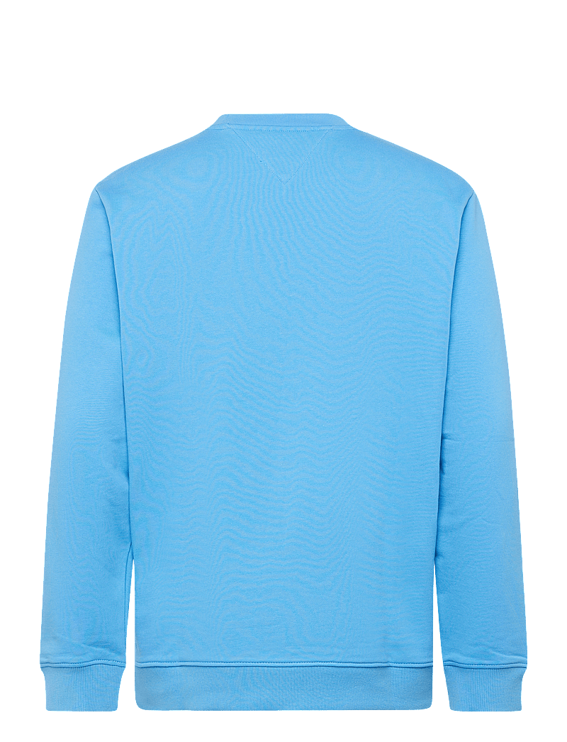 Tommy Jeans - TJM REG STACK CREW EXT - rundhalsad - copenhagen blue - 2