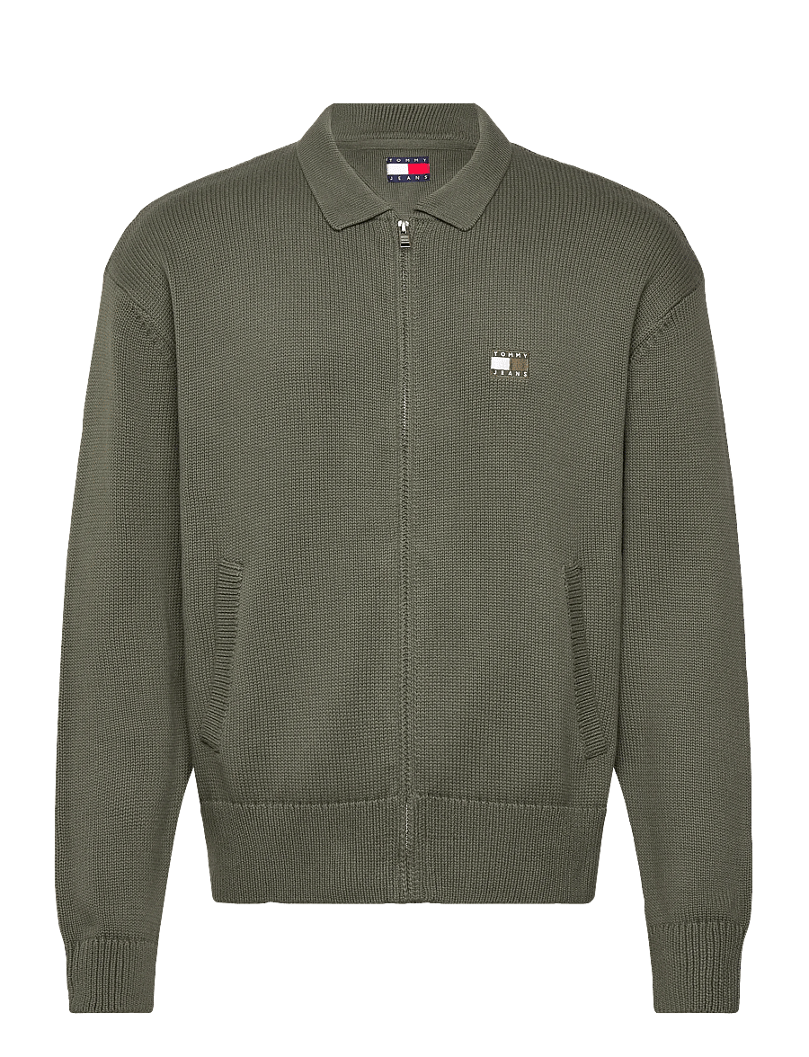 Tommy Jeans - TJM RLX TNL BADGE FZ SWEAT - sweats - pewter green - 1