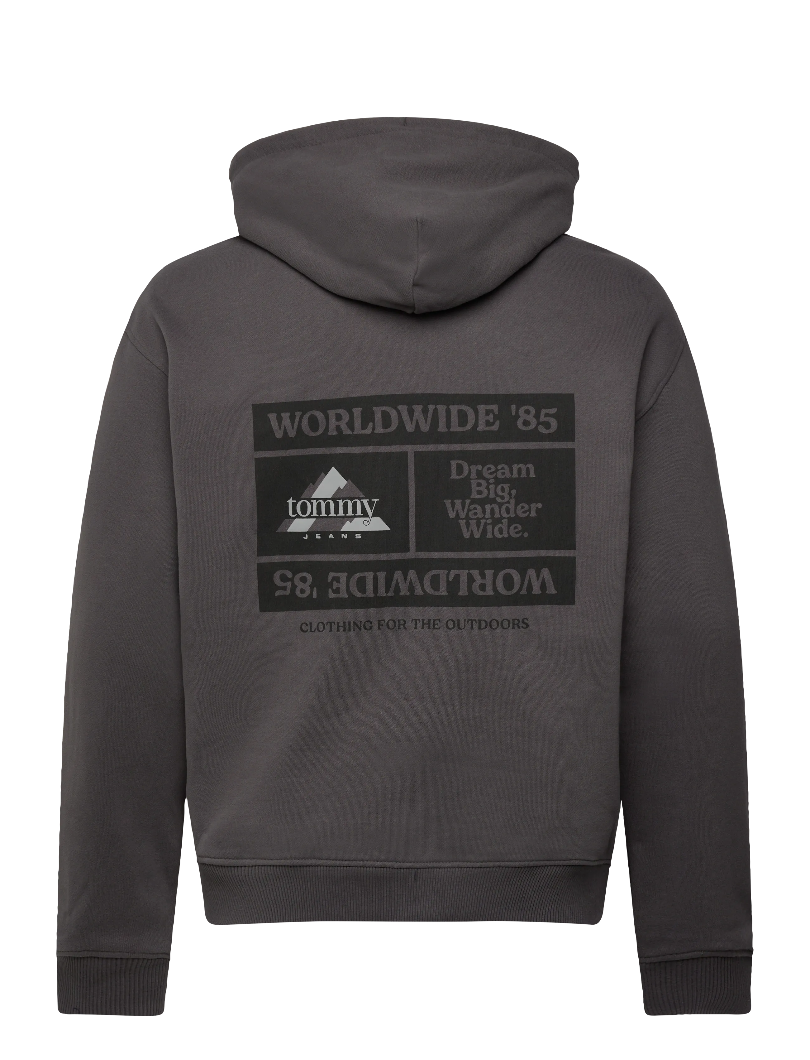Tommy Jeans - TJM RLX DNA PLAY FZ - hoodies - washed black - 2