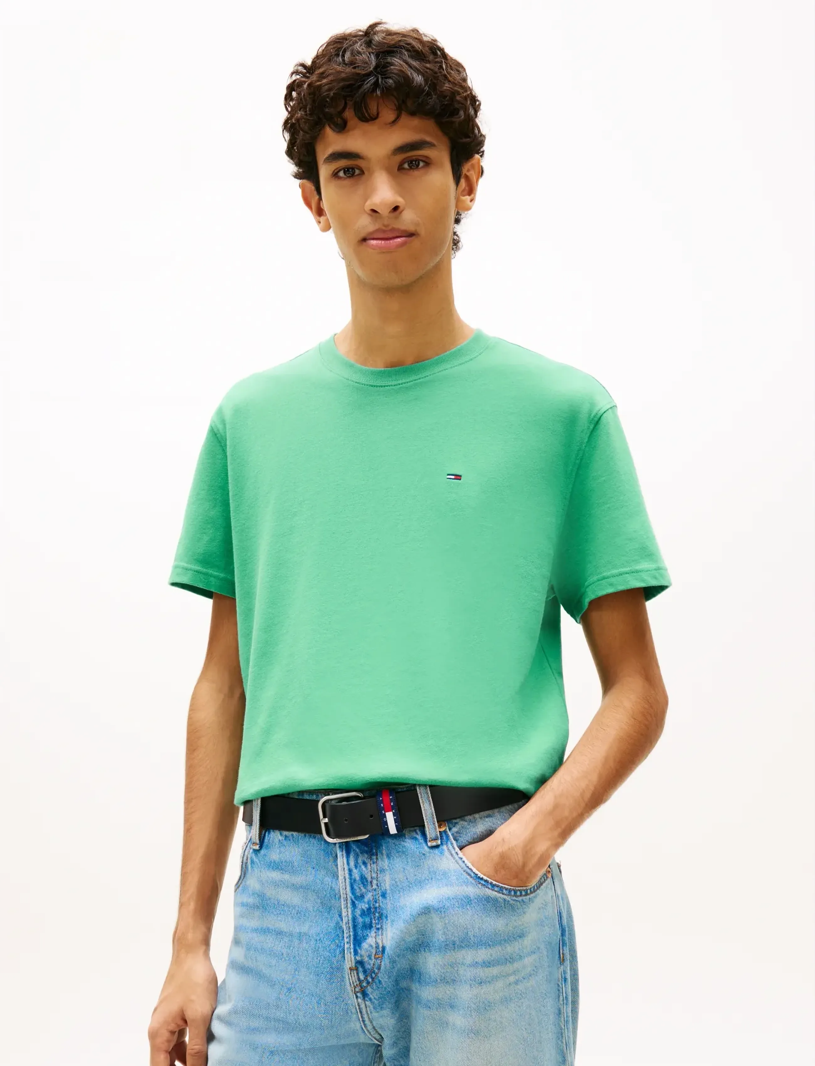 Tommy Jeans TJM REG SFLAG SS TEE EXT - Kleidung - BAHAMA GREEN / green