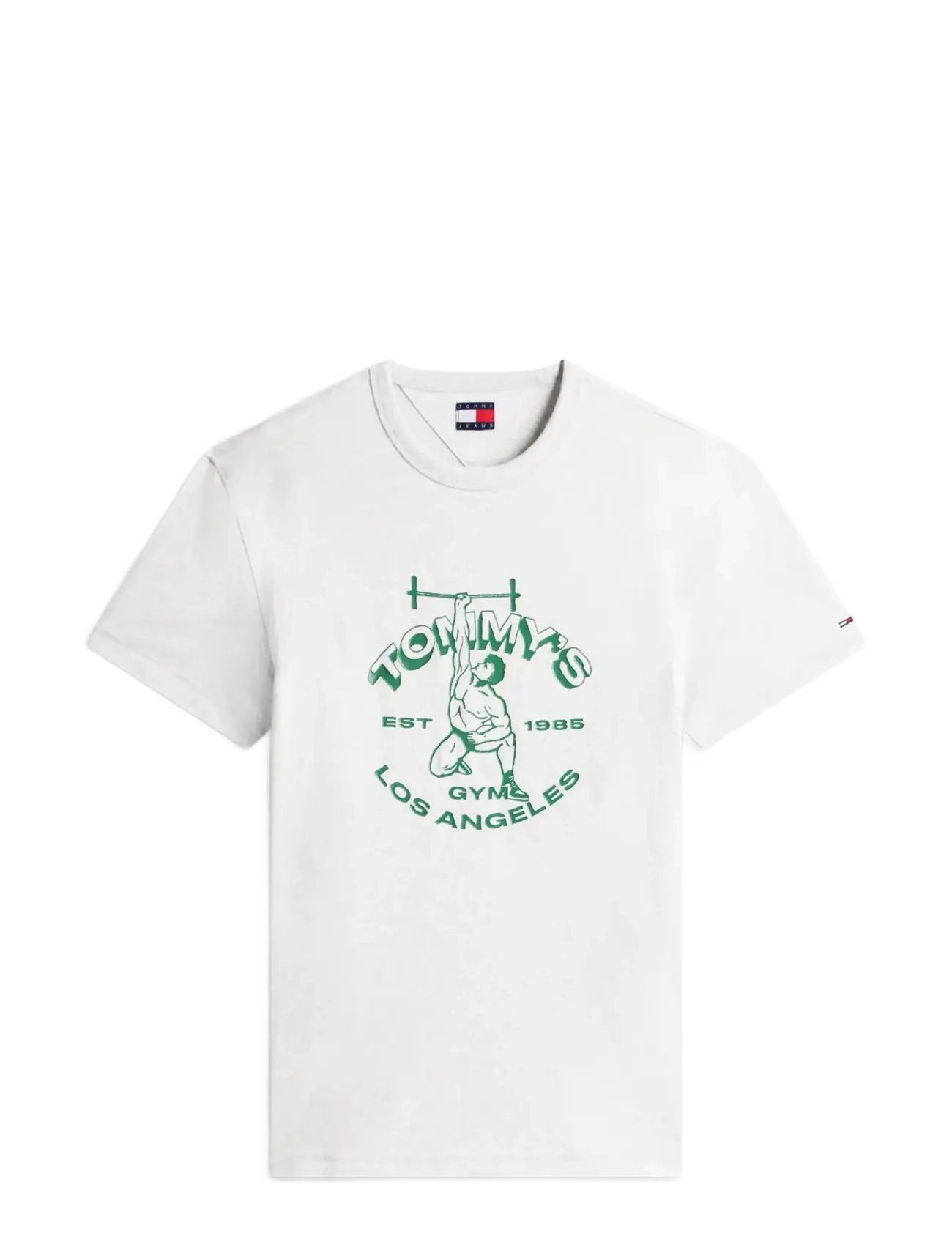 Tommy Jeans - TJM REG LIFTER SS TEE - ice grey heather - 1