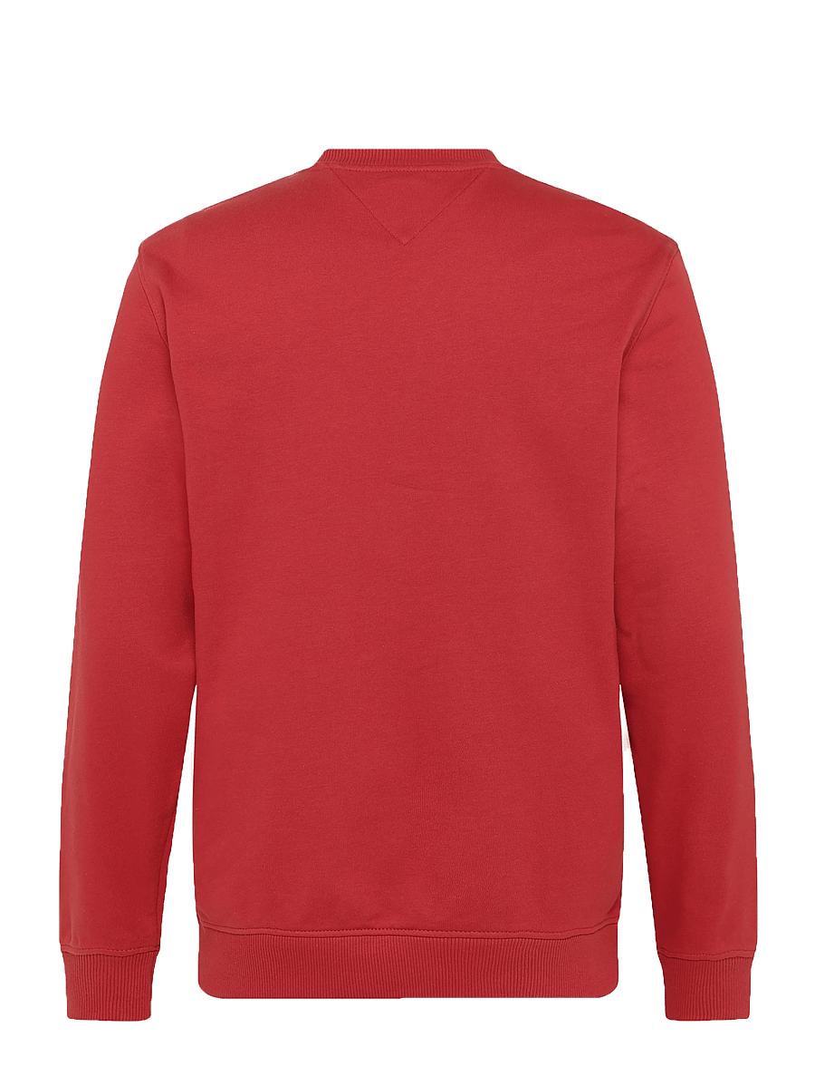 Tommy Jeans - TJM REG BIG FLAG CNECK EXT - sweatshirts - terracotta red - 2