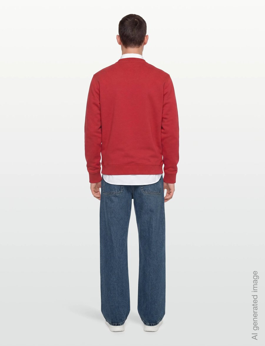 Tommy Jeans - TJM REG BIG FLAG CNECK EXT - sweatshirts - terracotta red - 4