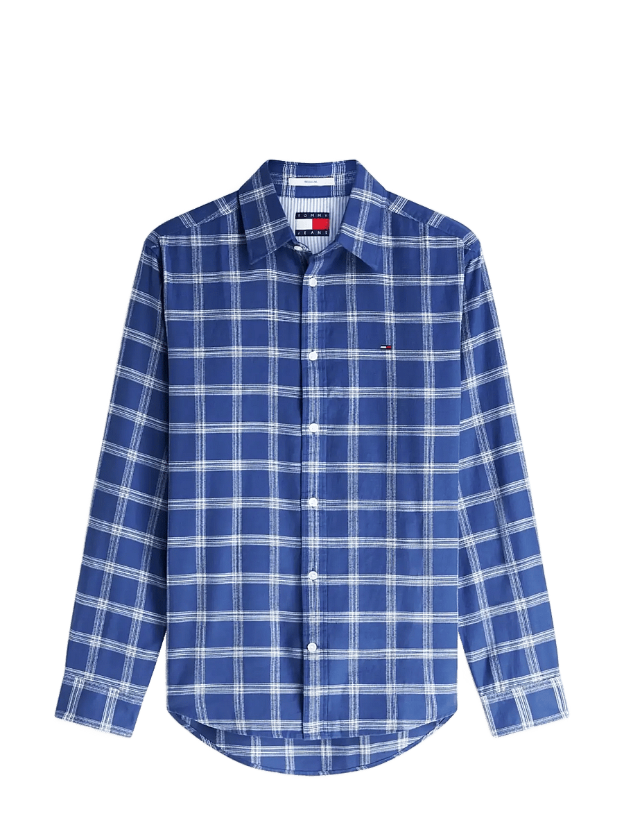 Tommy Jeans - TJM REG TWILL CHECK SHIRT - karierte hemden - blue storm check - 1
