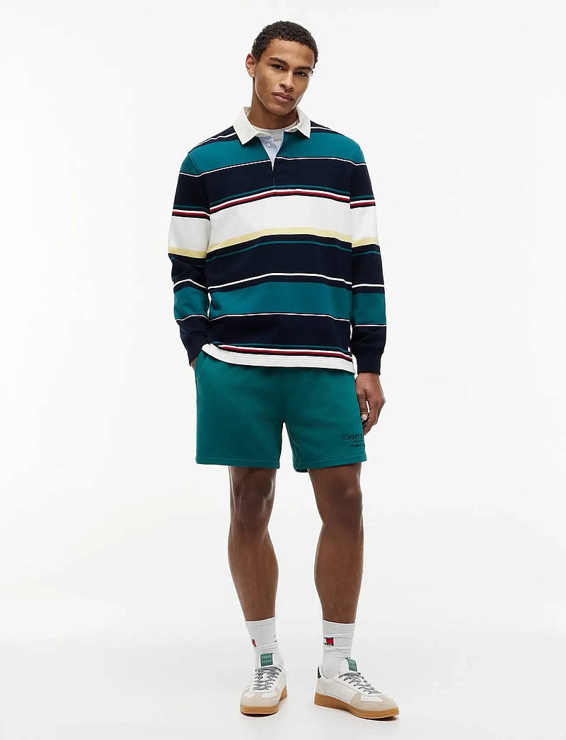 Tommy Jeans - TJM RLX STRIPE RUGBY EXT - langærmede poloer - dark night navy multi - 4