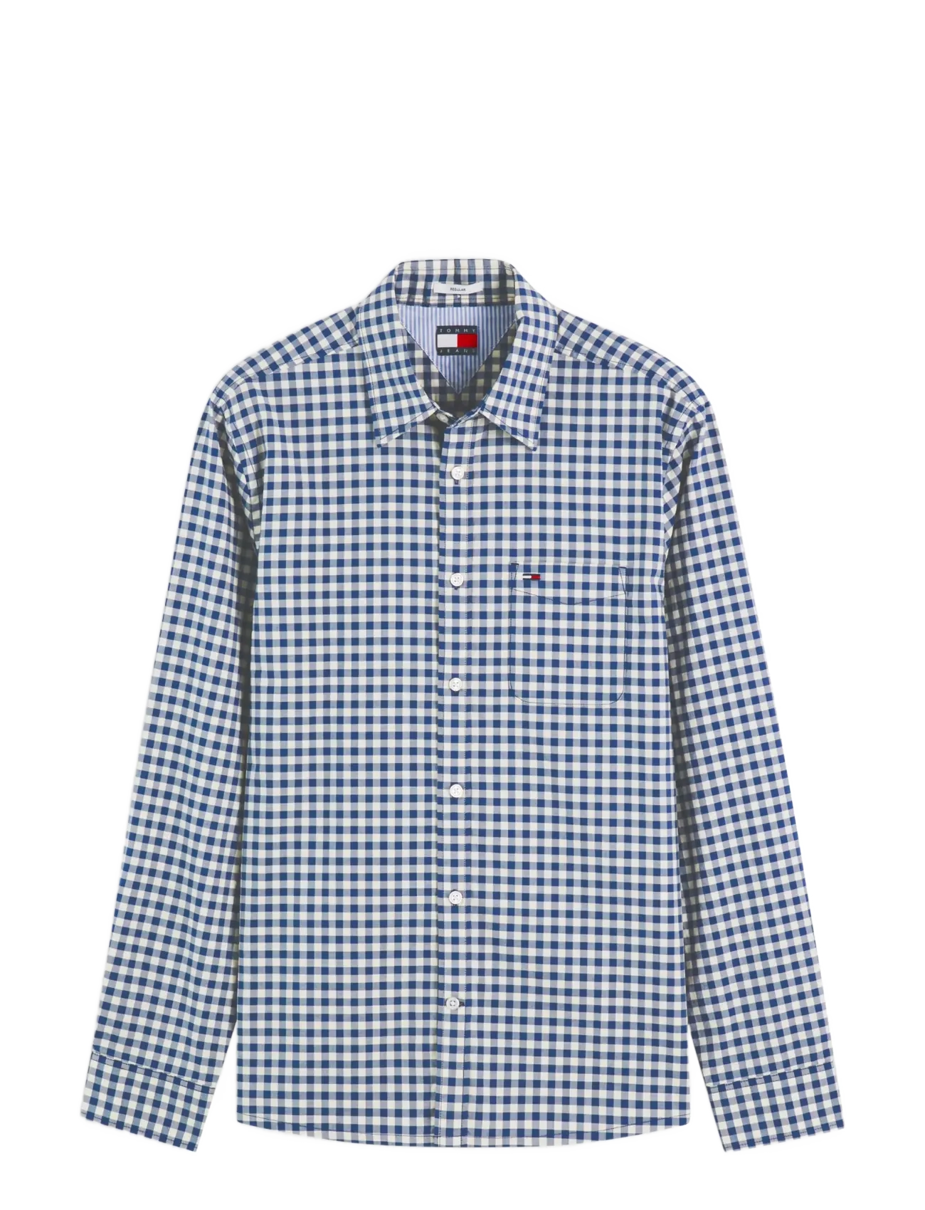 Tommy Jeans - TJM REG CHECK OXFORD SHIRT - rutiga skjortor - basic navy check - 1