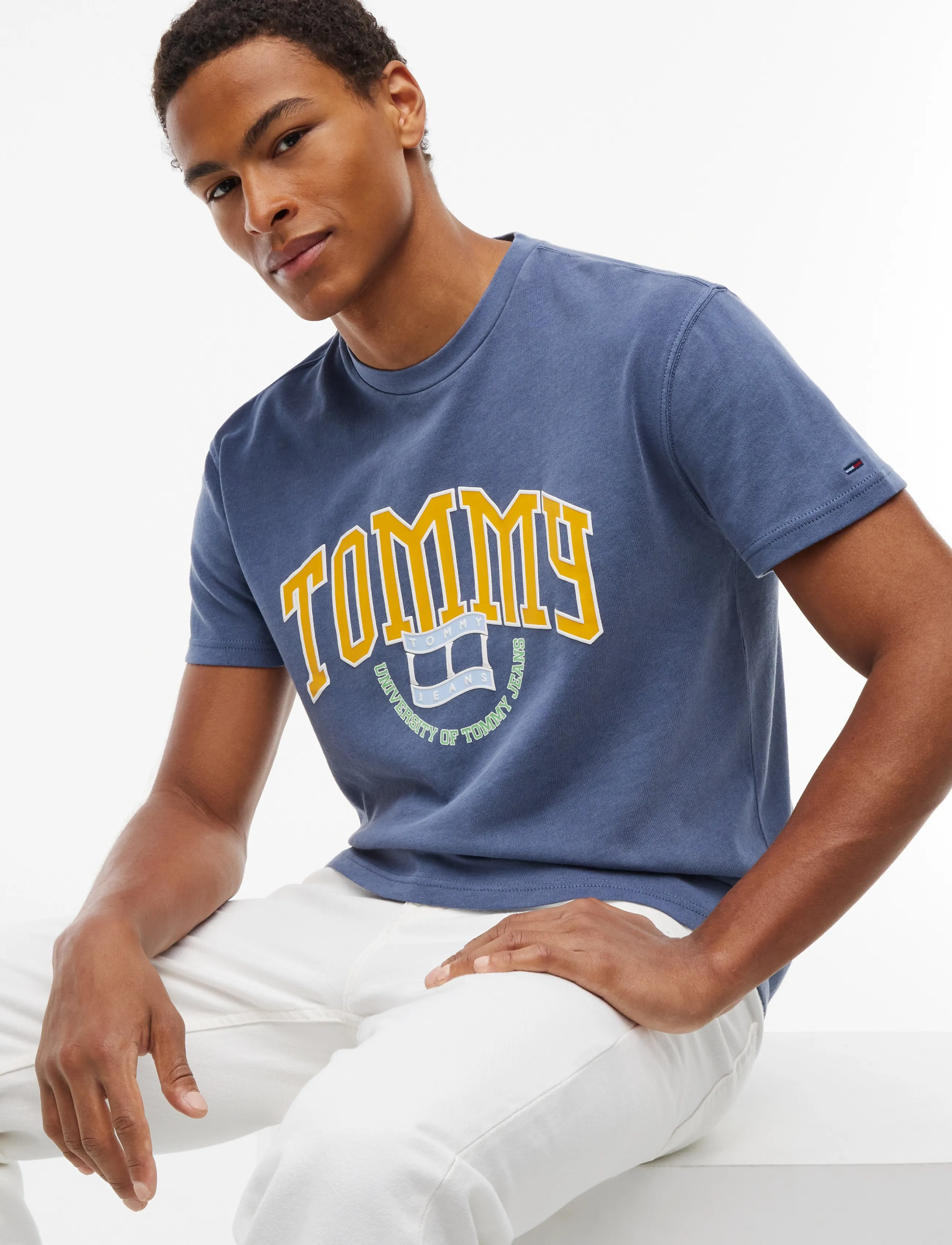 Tommy Jeans - TJM REG CREST ARCH TEE EXT - dark blue - 3