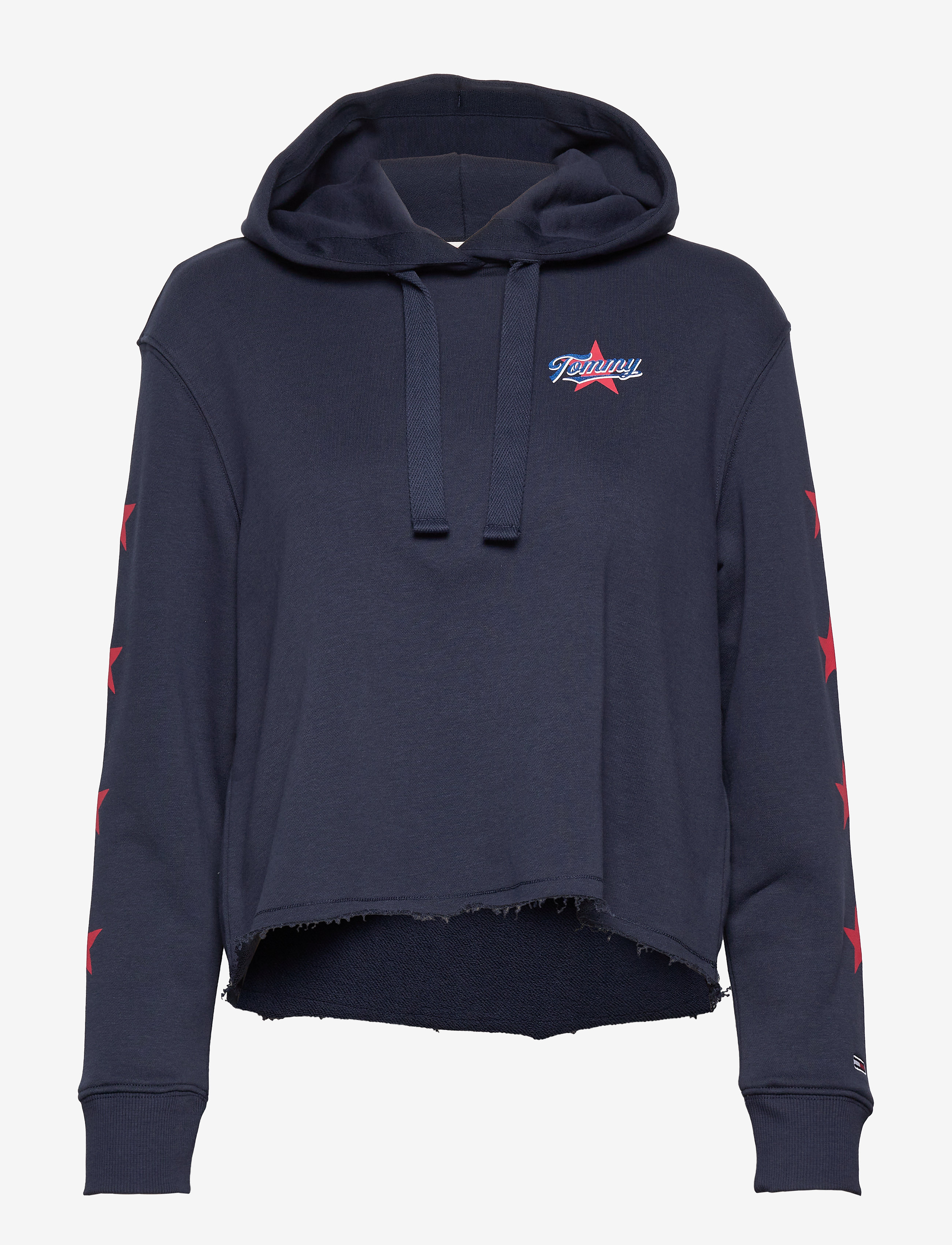 Tommy Jeans - TJW MODERN LOGO HOODIE - twilight navy - 0