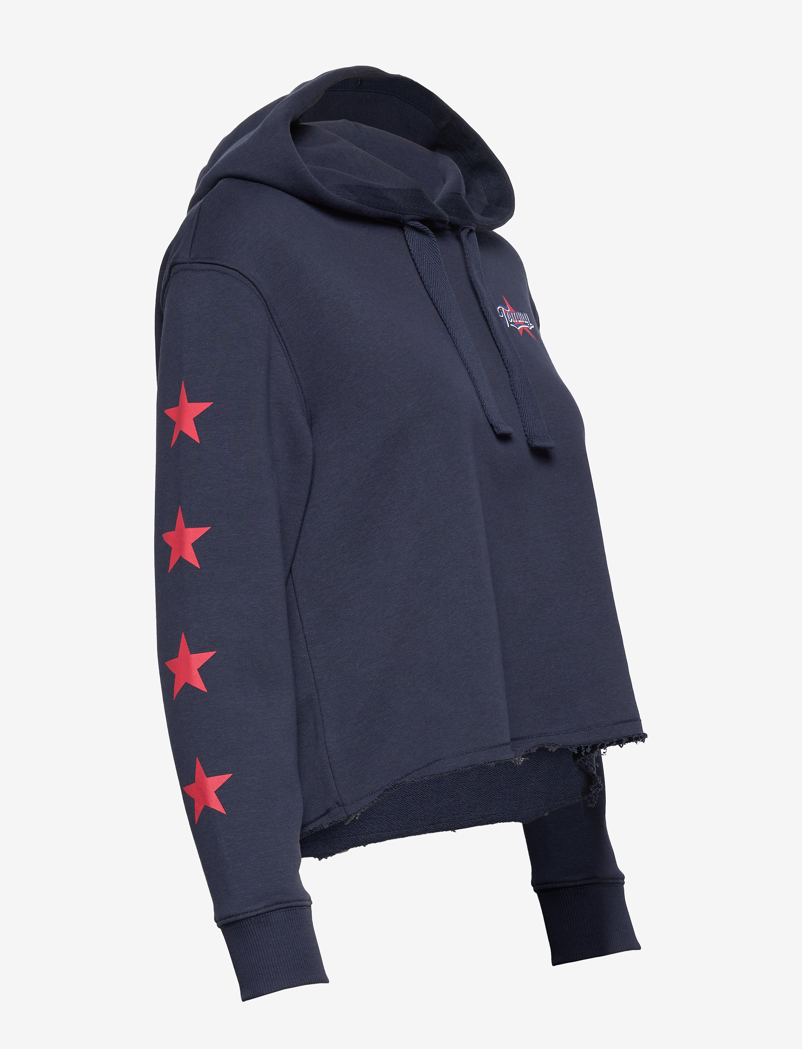 Tommy Jeans - TJW MODERN LOGO HOODIE - twilight navy - 2