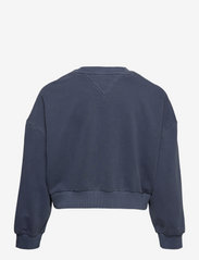 Tommy Jeans - TJW CRV CROP TIMELESS BOX CREW - kapuutsiga dressipluusid - twilight navy - 1