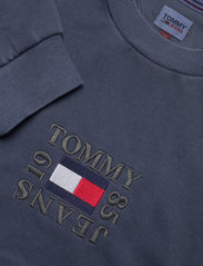 Tommy Jeans - TJW CRV CROP TIMELESS BOX CREW - kapuutsiga dressipluusid - twilight navy - 2