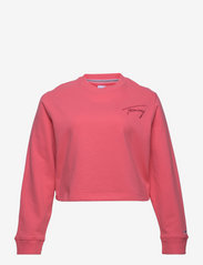 Tommy Jeans - TJW CRV TOMMY SIGNATURE CREW - hættetrøjer - garden rose - 0