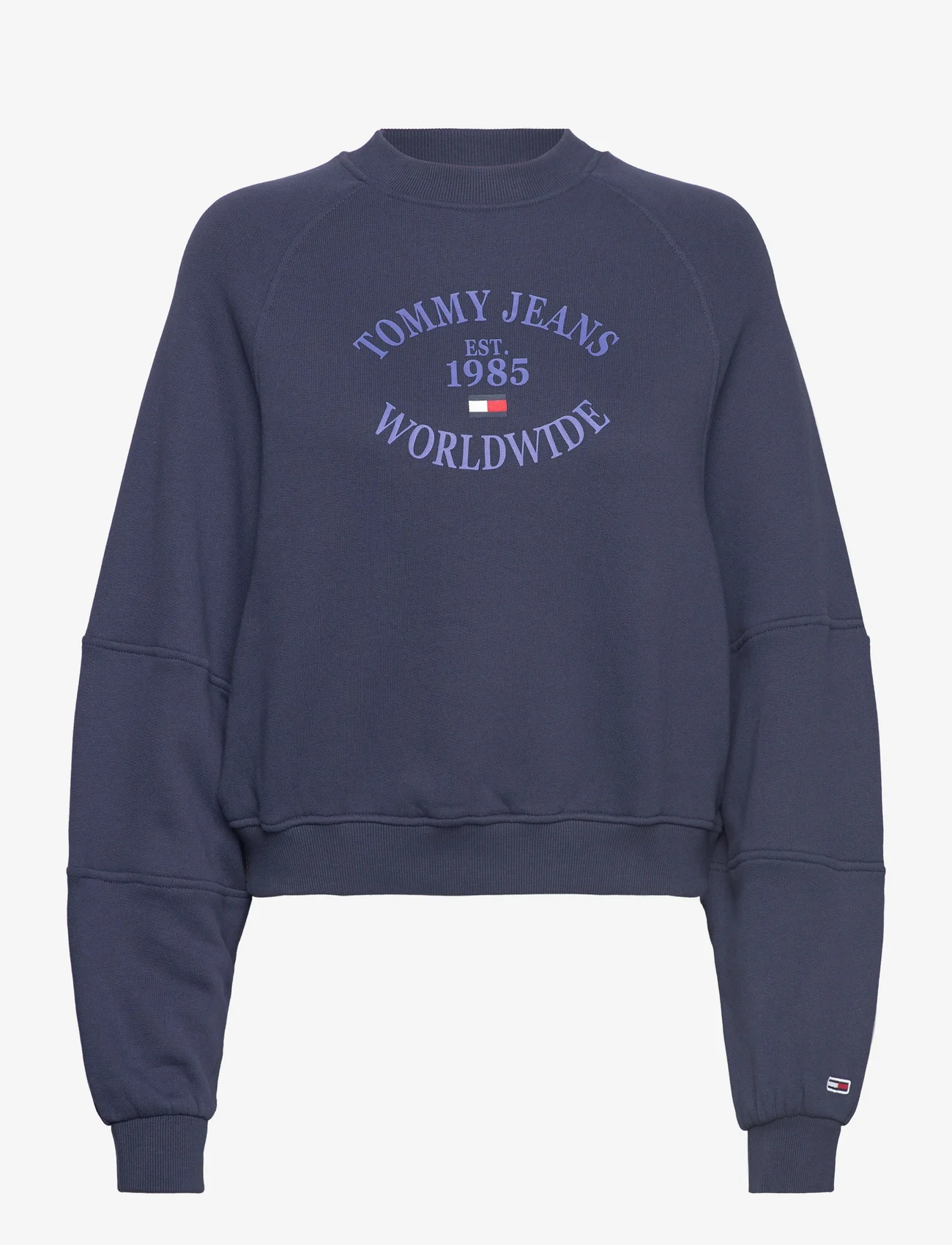 Tommy Jeans - TJW RLX WORLDWIDE RAGLAN CREW - sweatshirts & huvtröjor - twilight navy - 0