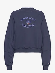 Tommy Jeans - TJW RLX WORLDWIDE RAGLAN CREW - dressipluusid ja kapuutsiga dressipluusid - twilight navy - 0